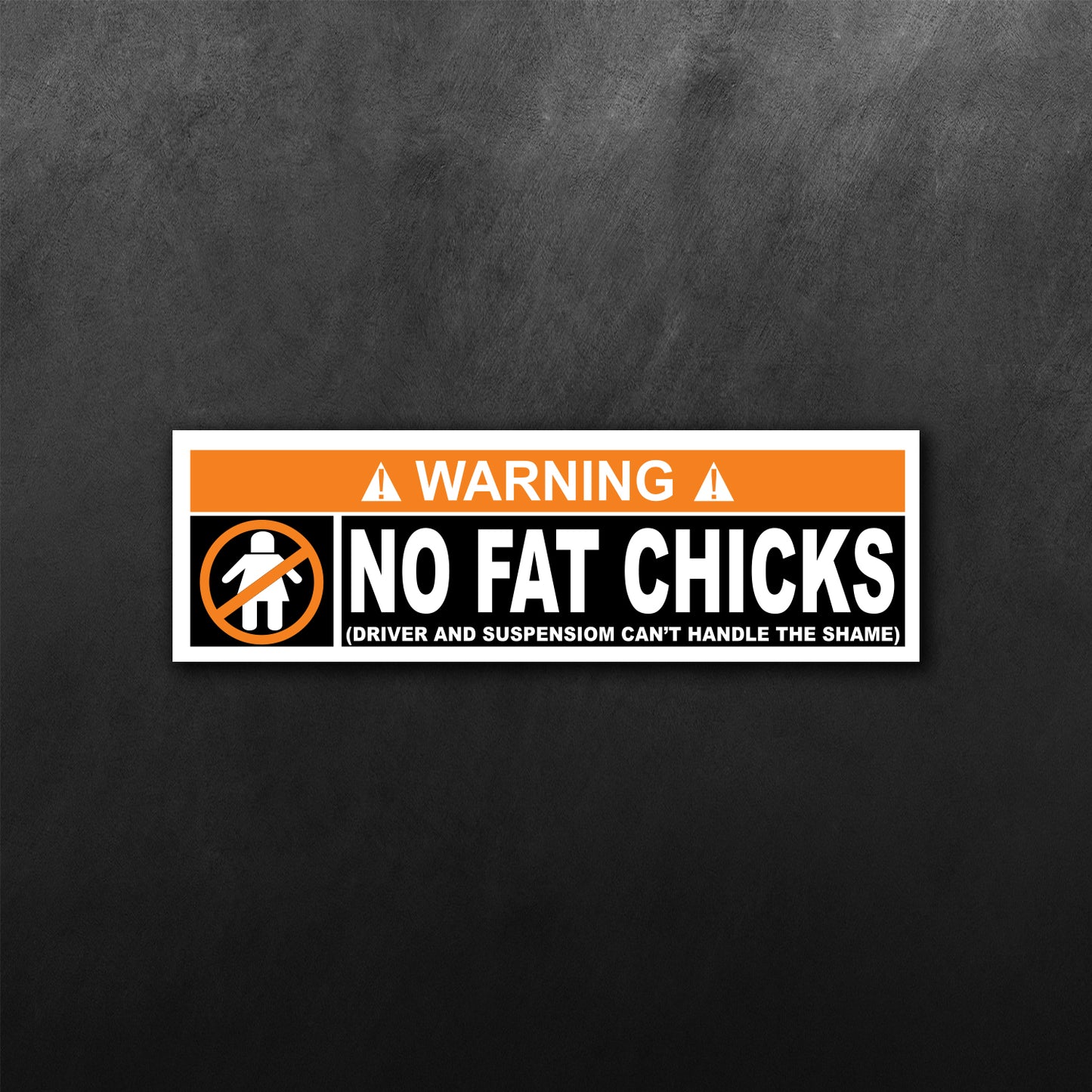 Warning No Fat Chicks Sticker